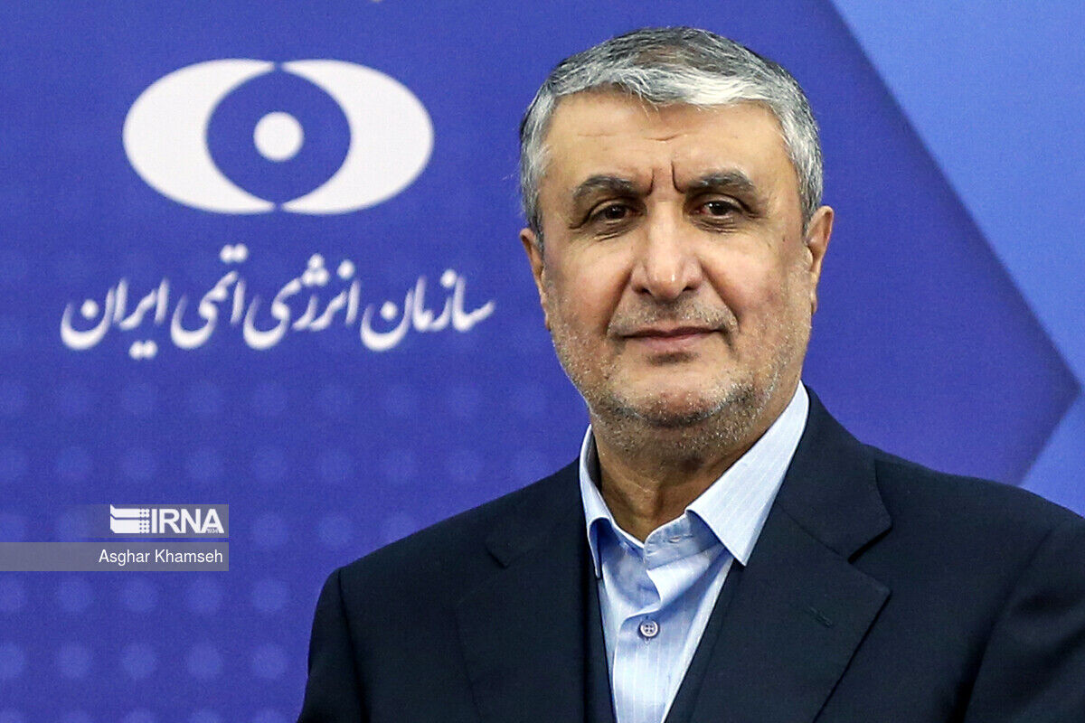إسلامي: لن نستسلم للضغوط السياسية التعسفية