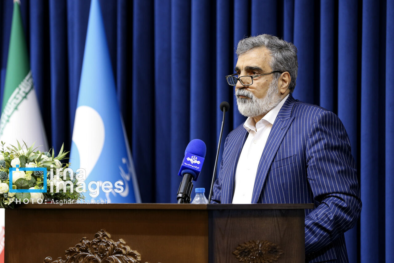 كمالوندي: ايران ستعيد النظر في مستوى تعاونها مع الوكالة الذرية في حال اصدار قرار ضدها